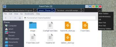 fvwm-tabber-x400.png